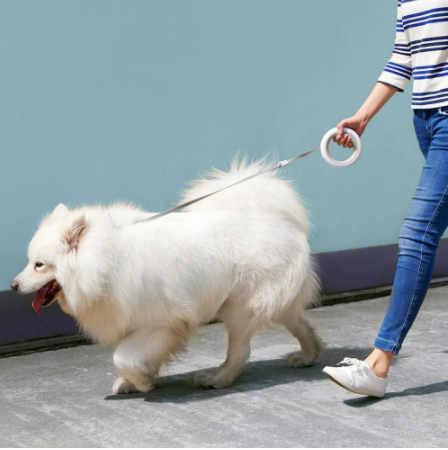 Smart Retractable Pet Leash