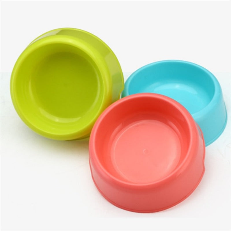 Dog Feeding Bowl