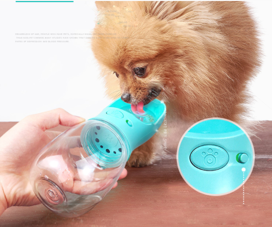 Portable Outdoor Pet Bottle