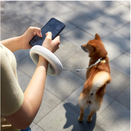 Smart Retractable Pet Leash