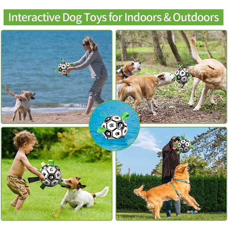 Durable Interactive Pet Toy