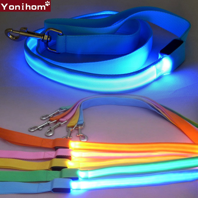 Reflective LED Dog Leash